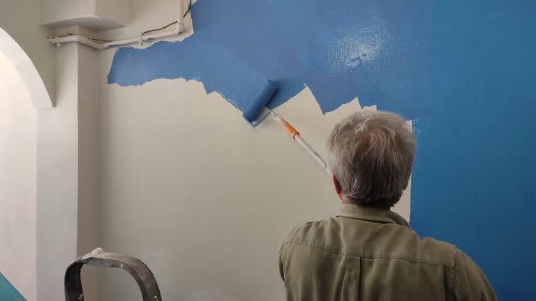 Best Drywall Repair  in Hanapepe, HI